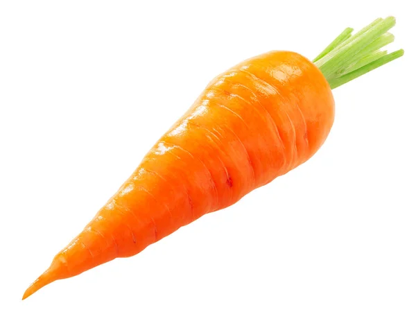 Royal Chantenay Carrot Short Rooted Variety Tapered Tip Isolated — Stock Photo, Image