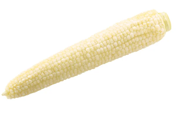 Unripe Peeled Corn Cob Maize Isolated — Stock Photo, Image