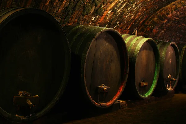 Oude Wijnvaten Een Wijnkelder — Stockfoto