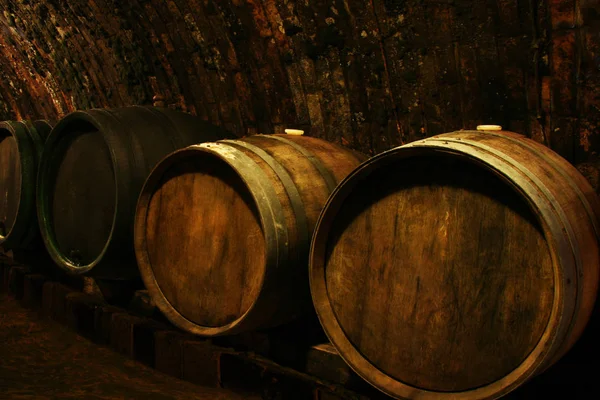 Oude Wijnvaten Een Wijnkelder — Stockfoto