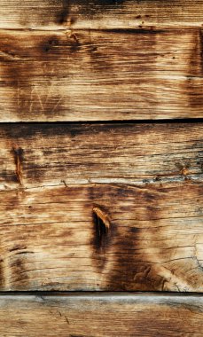 Ahşap doku, Beyaz ahşap arka plan, tahta Ahşap Resepsiyon