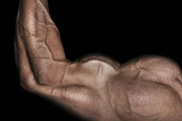 Hombre de fitness con mancuerna en el gimnasio. — Foto de Stock