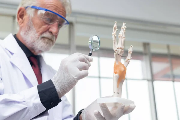 Wissenschaftler Senior überprüft Handmodell mit der Lupe. — Stockfoto