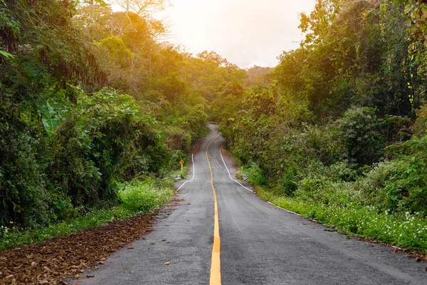 Snelweg in de jungle tropen in Thailand. — Stockfoto