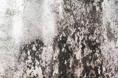 yosun dokusu ile kirli duvar