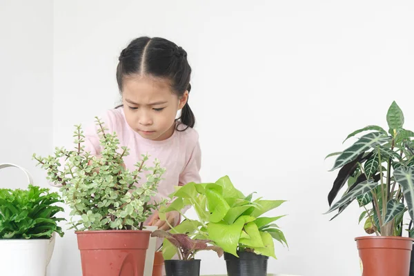 Asiático Bonito Criança Menina Rosa Camisa Plantando Árvores Pequeno Pote — Fotografia de Stock