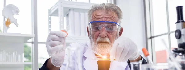 Wissenschaftler Senior Eine Testprobe Chemische Glasplatte Labor Science Experimentkonzept — Stockfoto