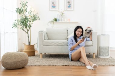 Asyalı kadınlar gülümserken akıllı telefon kullanıyor ve rahat oturma odasında evcil köpeğe sarılıyorlar. Mutlu dijital yaşam biçimi, evcil hayvan arkadaşlığı, ev içi sağlık ve rahatlama ortamı kavramı.