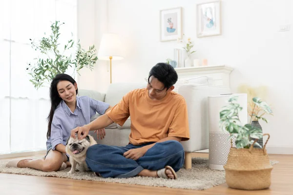 Mutlu Asyalı çift oturma odasında sevimli bir köpekle oynuyor. Aşk kavramı, ilişki bağı, aile hayatı, evcil hayvan arkadaşlığı ve modern evdeki neşeli anlar..