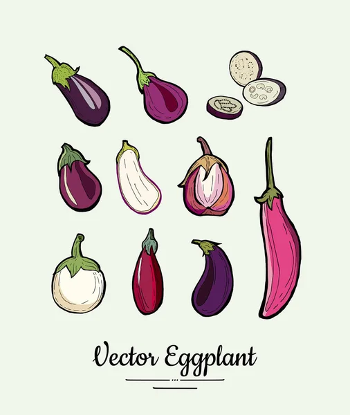 Eggplant vegetable groceries vintage vector set. Hand drawn isolated fresh aubergine. Food line hand drawn illustration. Eggplant vegetarian poster, restaurant menu, logo, icon, sticker, farm shop.