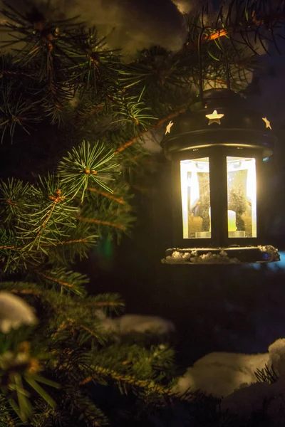 Winter scene in my backyard. A candle in the lantern illuminates the winter night and wood covered with glittering snow.