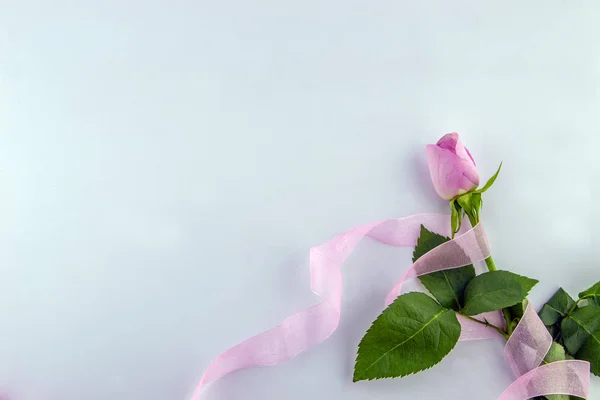 International Women\'s Day, March 8. Pink roses wrapped in pink ribbon trim on a white background.