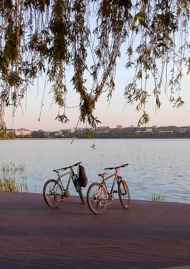 yakın göl günbatımı, ağacın altında iki bisiklet