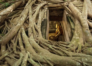 Buda heykeli kilise ağaca 