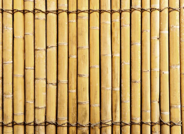 Cerca Bambu Textura Fundo — Fotografia de Stock