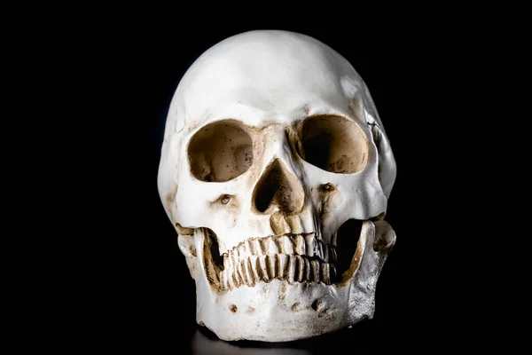 黒い背景に人間の頭蓋骨が隔離された ハロウィンの日のコンセプト — ストック写真