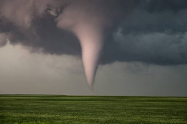 Kansas 'ın Rozel şehrinin önünde beyaz kasırga görüldü. Çok büyük doğal afetler de bembeyaz, çevreden gelen rüzgar da dahil. Tek bir büyük rüzgar dönüşüne yuvarlandı..
