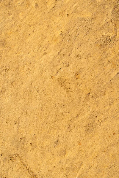 Die Struktur Der Glatten Oberfläche Des Feuchten Bodens Garten Morgen — Stockfoto