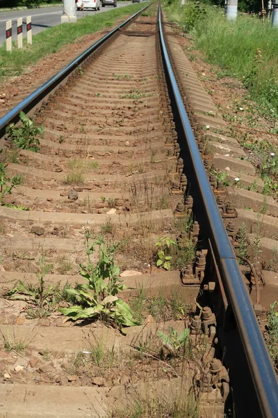 Overwoekerde Grasbanen Rails Betonnen Dwarsliggers — Stockfoto