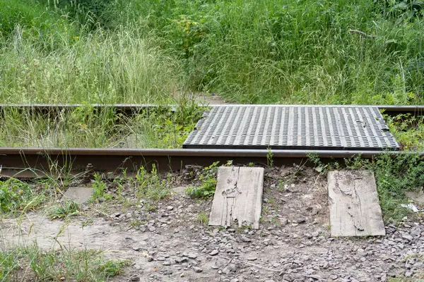Rails Stalen Plaat Spoorwegovergang Hoog Gras — Stockfoto