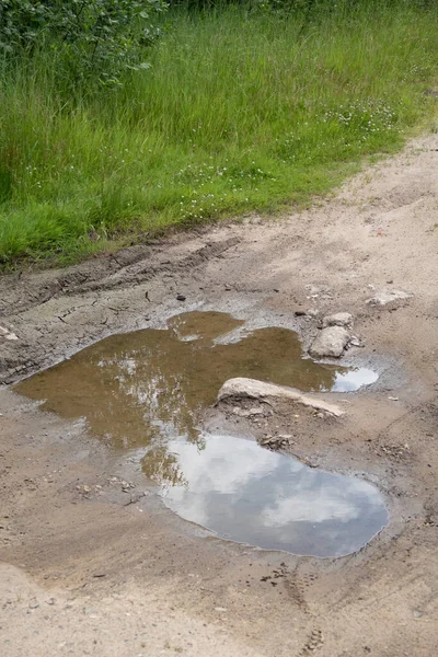 Калюжа Брудній Дорозі Кущі Хмари Відображаються Воді — стокове фото