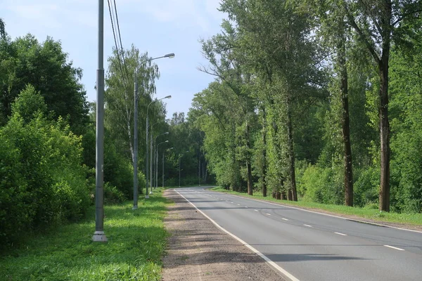 Along the asphalt road there are poles with lighting lamps on one side and old trees on the other.