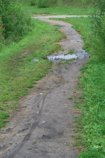 Лужа Грунтовой Дорожке Парке После Дождя Велосипедная Дорожка — стоковое фото