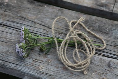 Ahşap tezgahta yonca çiçekleri ve ip