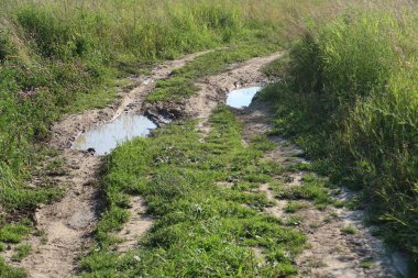 Tarlaların arasındaki köy yolu, derin bir tekdüzelik içindeki su birikintileri.