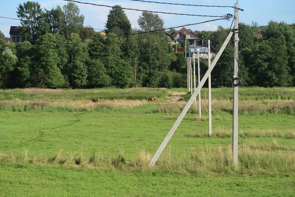 Rural power line crossing the field