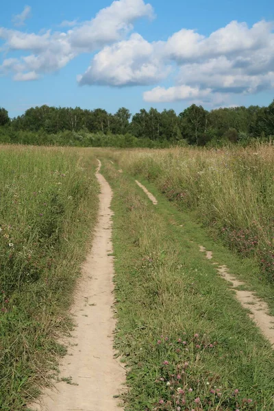 Landelijke Onverharde Weg Kruist Een Weide Vol Wilde Bloemen — Stockfoto