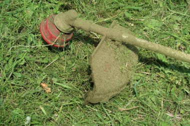 Çim biçme makinesi, çim biçme makinesinin arka planında kurumuş yeşil çiçekle kaplanmış.