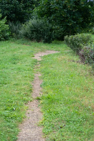 Loopbrug Het Park Een Gemaaid Grasveld Getrimde Struiken — Stockfoto