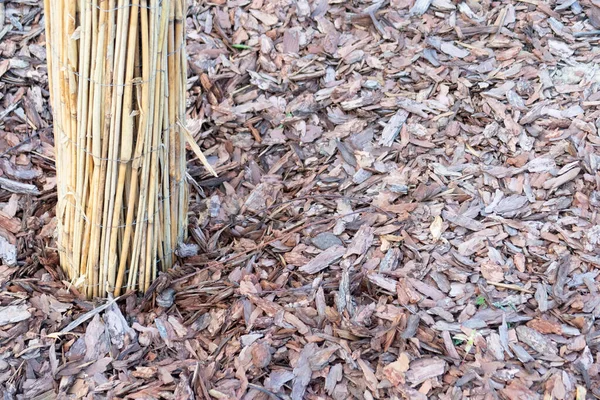 A tree trunk tied with straw and bark bedding