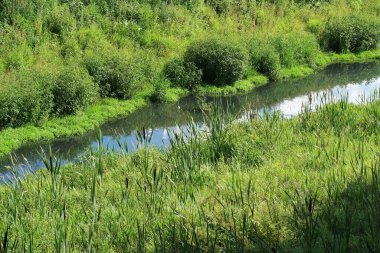 Yeşillik dar akış oluğu, yansıma, arkaplan