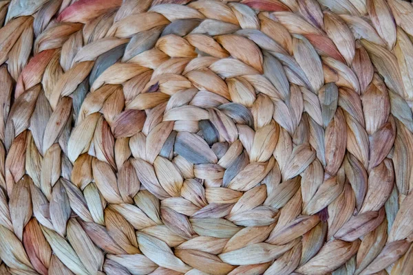 自然な小さな茎から織られた同心円状の背景 — ストック写真