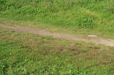 Yağmurla ıslanmış bir arazide dar bir yol.