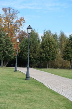 Çim biçilmiş bir çimenlikte, sonbaharda, parkta, fenerlerle döşenmiş asfalt levhalarla döşenmiş bir yol.