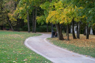 Kenarlarında yol kiremitleri olan kırmızı renkli bir patika. Sarı yapraklarla süslenmiş yeşil çimenlikteki büyük ağaçlar arasında geziniyor. Sonbahar.