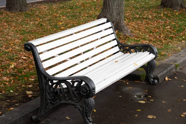 Hvit Benk Høstparken Etter Regn Høst – stockfoto