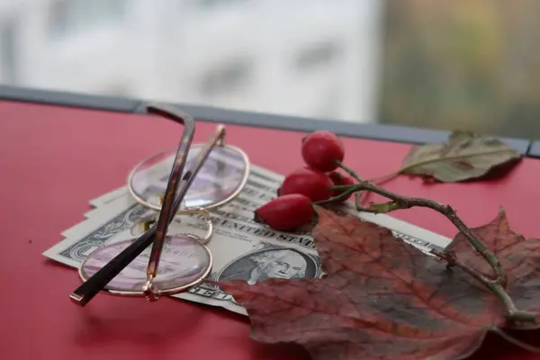 赤いカエデの葉 バラの腰 ラップトップカバーのドルとガラス リモートワーク フリーランス — ストック写真