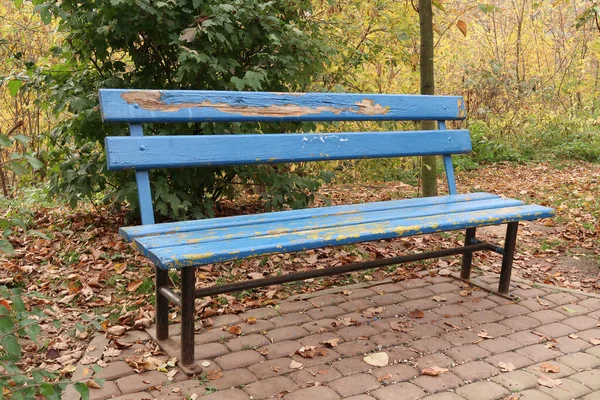 落叶背景上的蓝色长椅 — 图库照片