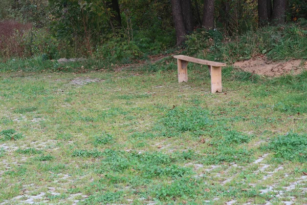 在平台上的木制长椅上铺着混凝土格子 上面长满了草 — 图库照片