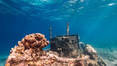 Karayip deniz / Curacao 'daki mercan resifinin sığ sularında deniz enkazı 
