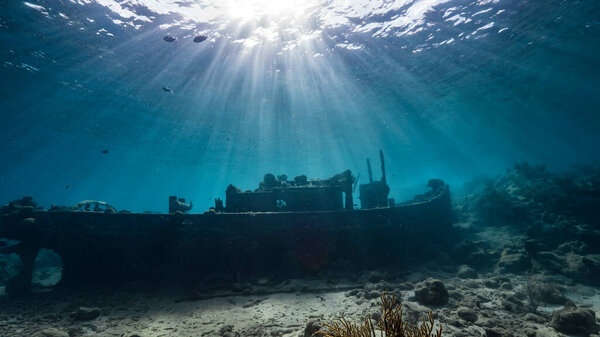 Ship wreck "Tugboat" in  shallow water of coral reef in Caribbean sea / Curacao with Sea Anemone and  view to surface and sunbeam