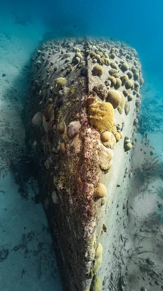 Fartygsvrak Black Sand Vrak Korallrev Karibiska Havet Curacao Med Korall — Stockfoto