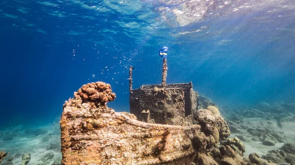 Ship Wreck Tugboat Shallow Water Coral Reef Caribbean Sea Curacao — Stock Photo, Image