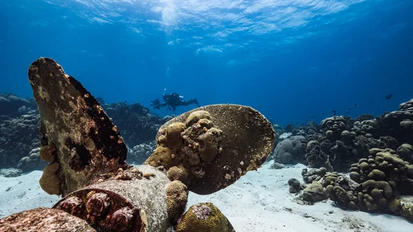 Fartygsvrak Turkost Vatten Korallrev Karibiska Havet Curacao Med Dykare Bakgrunden — Stockfoto