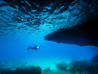 Karayip Denizi / Curacao 'da mercan resifi denizi ve 