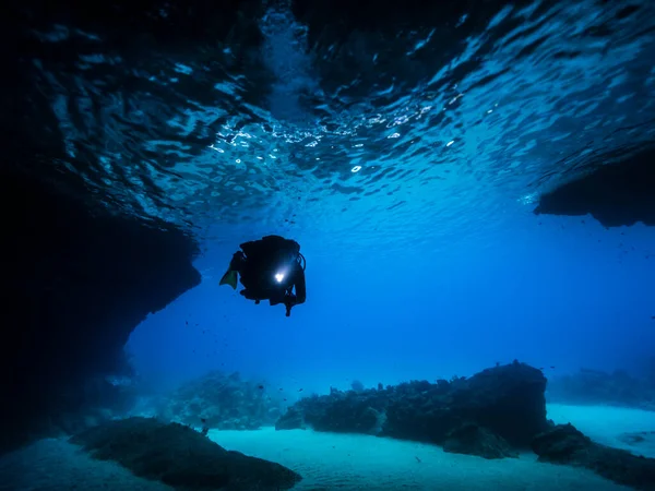 Korallzátony Karib Tengeren Curacao Búvárral Barlangban Blue Room — Stock Fotó